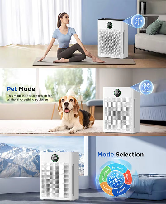 BreatheWell™ Fresh Air for Every Room, Every Day Veteranshops.com