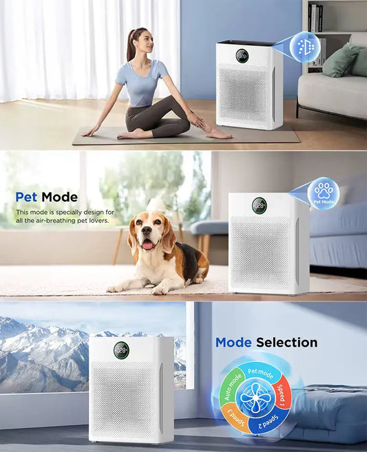 BreatheWell™ Fresh Air for Every Room, Every Day Veteranshops.com