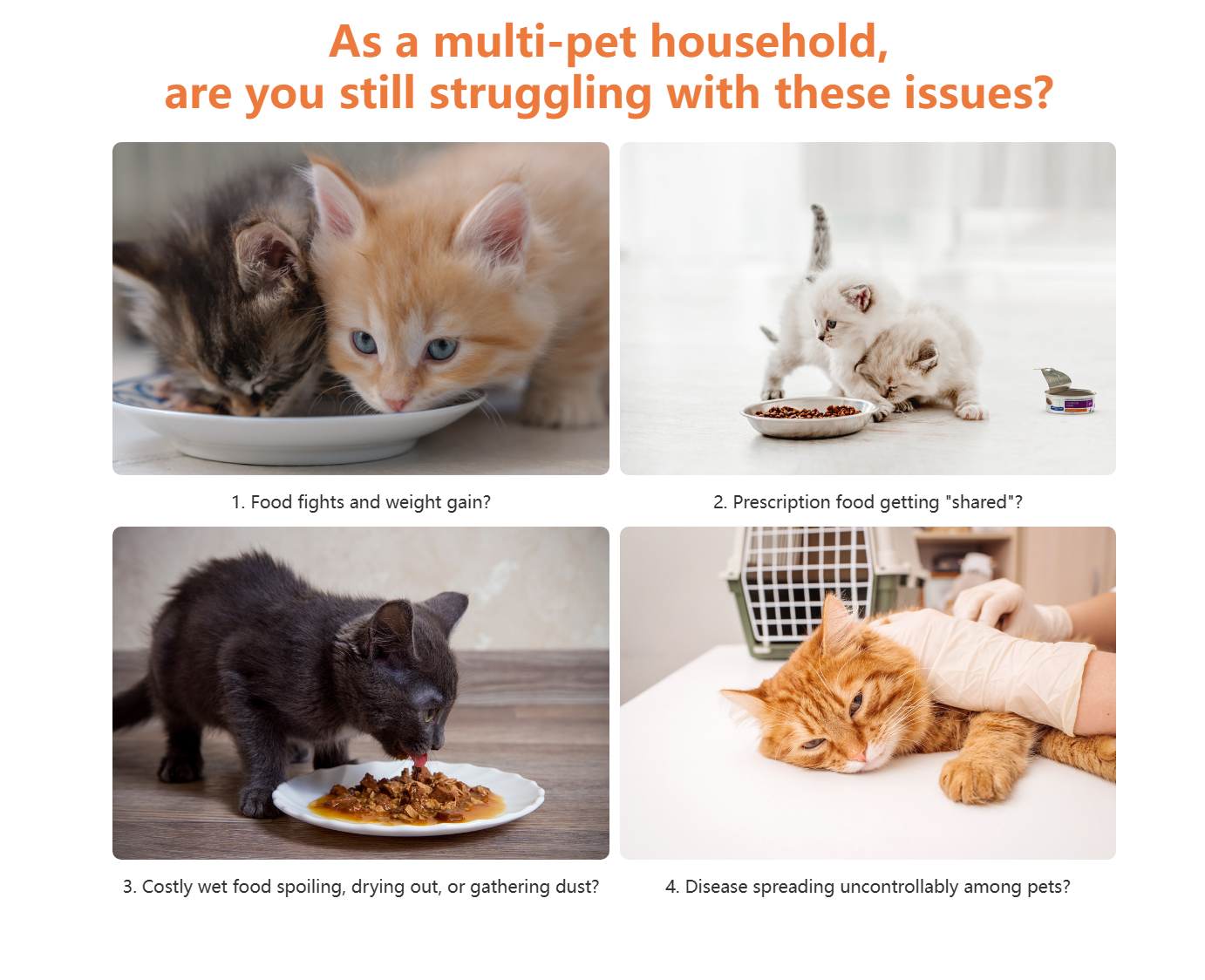PurrfectFeed™ Smart. Precise. Purrfect. Veteranshops.com
