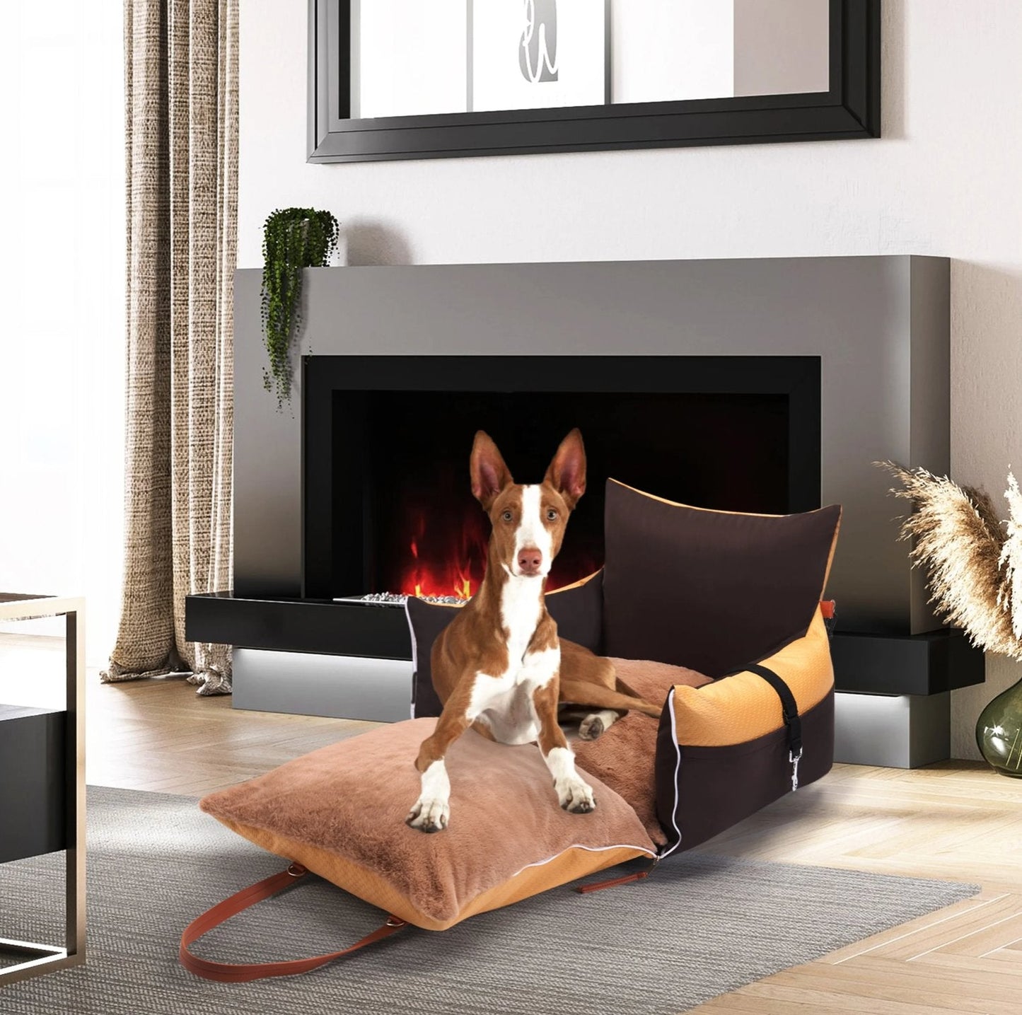 PawLuxe™ Luxury Pet Seats Veteranshops.com