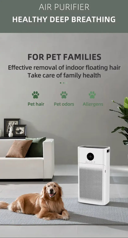Breatheon™– Derived from clarity, suggesting clean air and transparent purity. Veteranshops.com