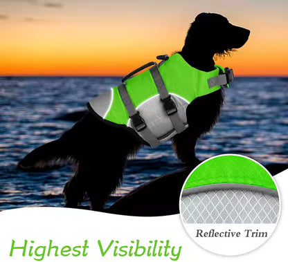 SwimBuddy™ – "Adventure-Ready. Puppy-Safe." Veteranshops.com