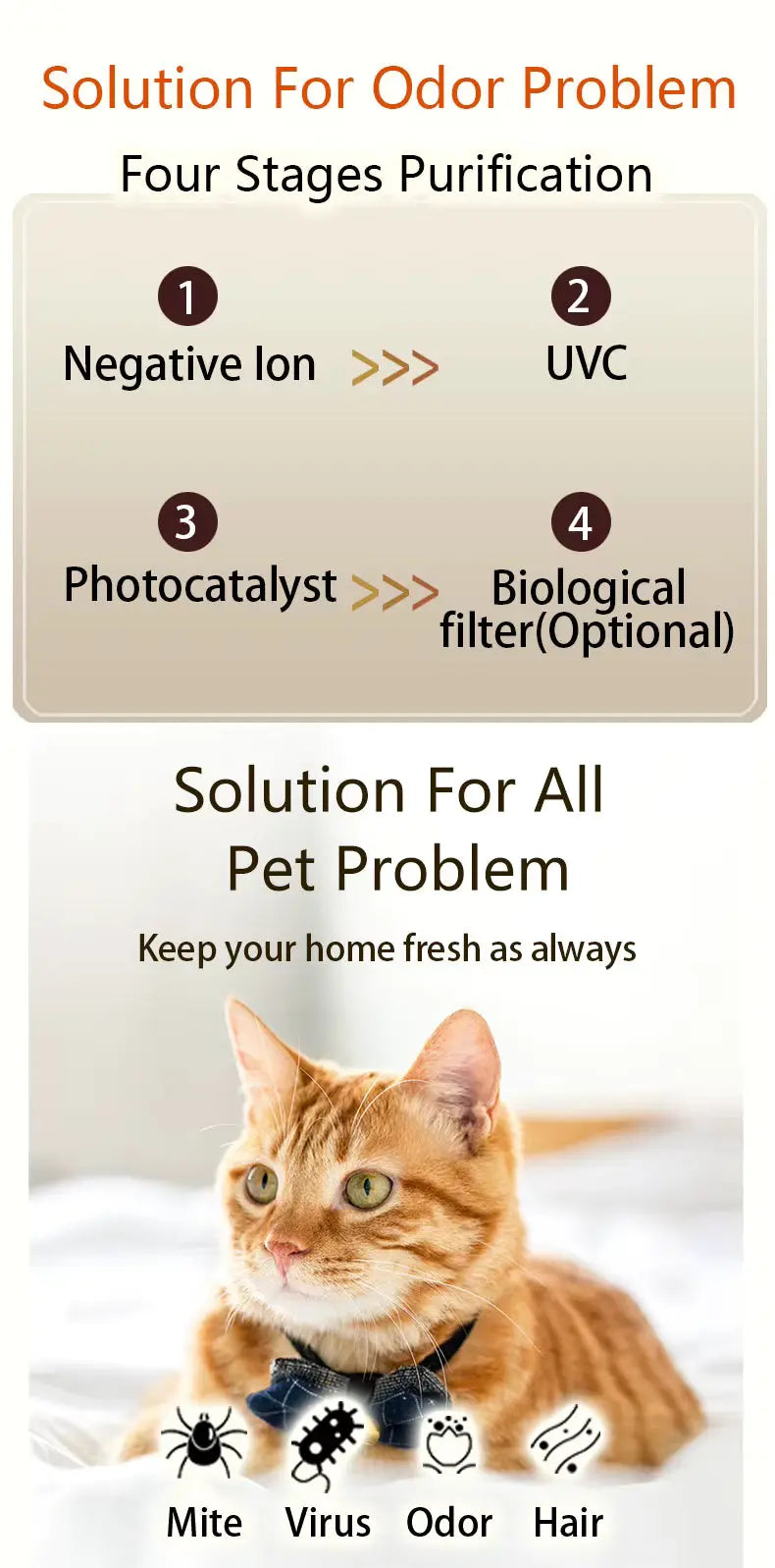 FurBreathe™ “Tackles Pet Hair, Dander & Odors—Silently.” Veteranshops.com