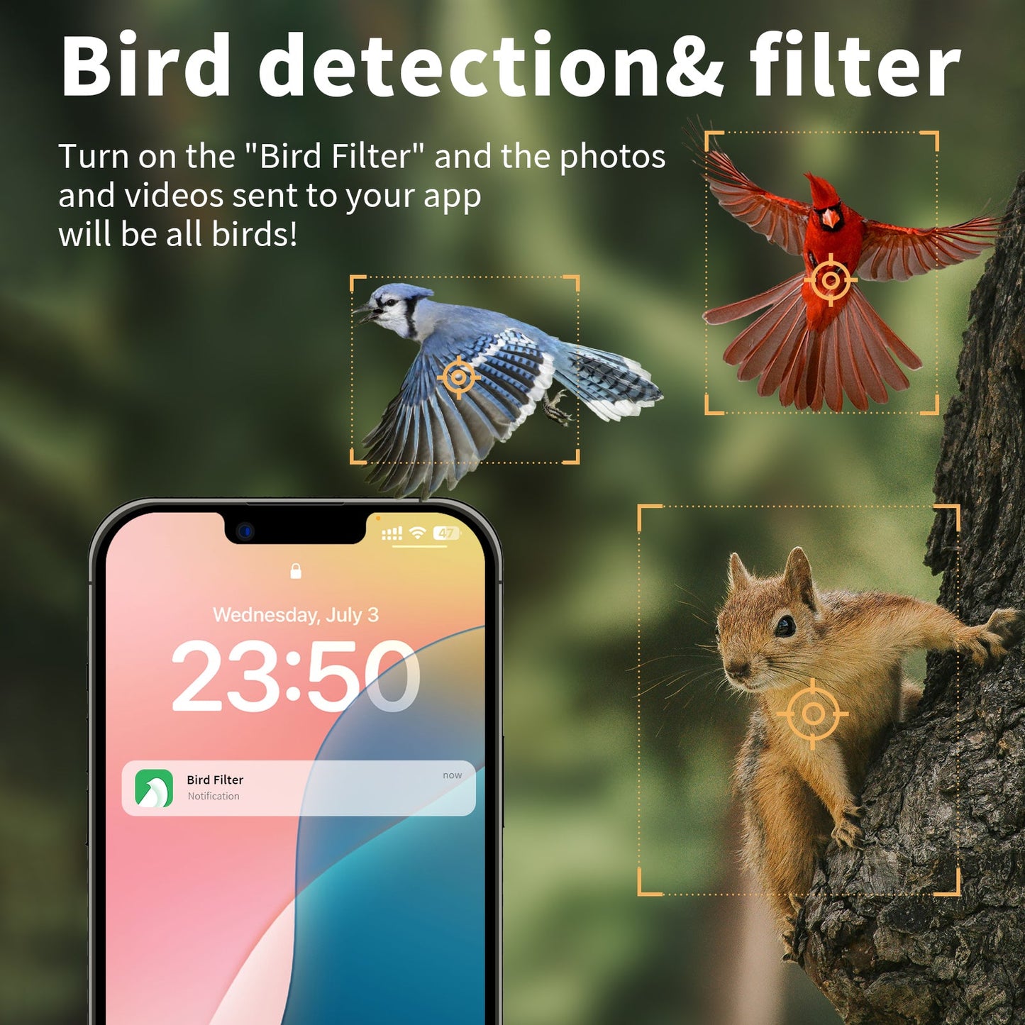 SkySentry™ AI-X Pro I Smart AI-Powered Bird Feeder Veteranshops.com