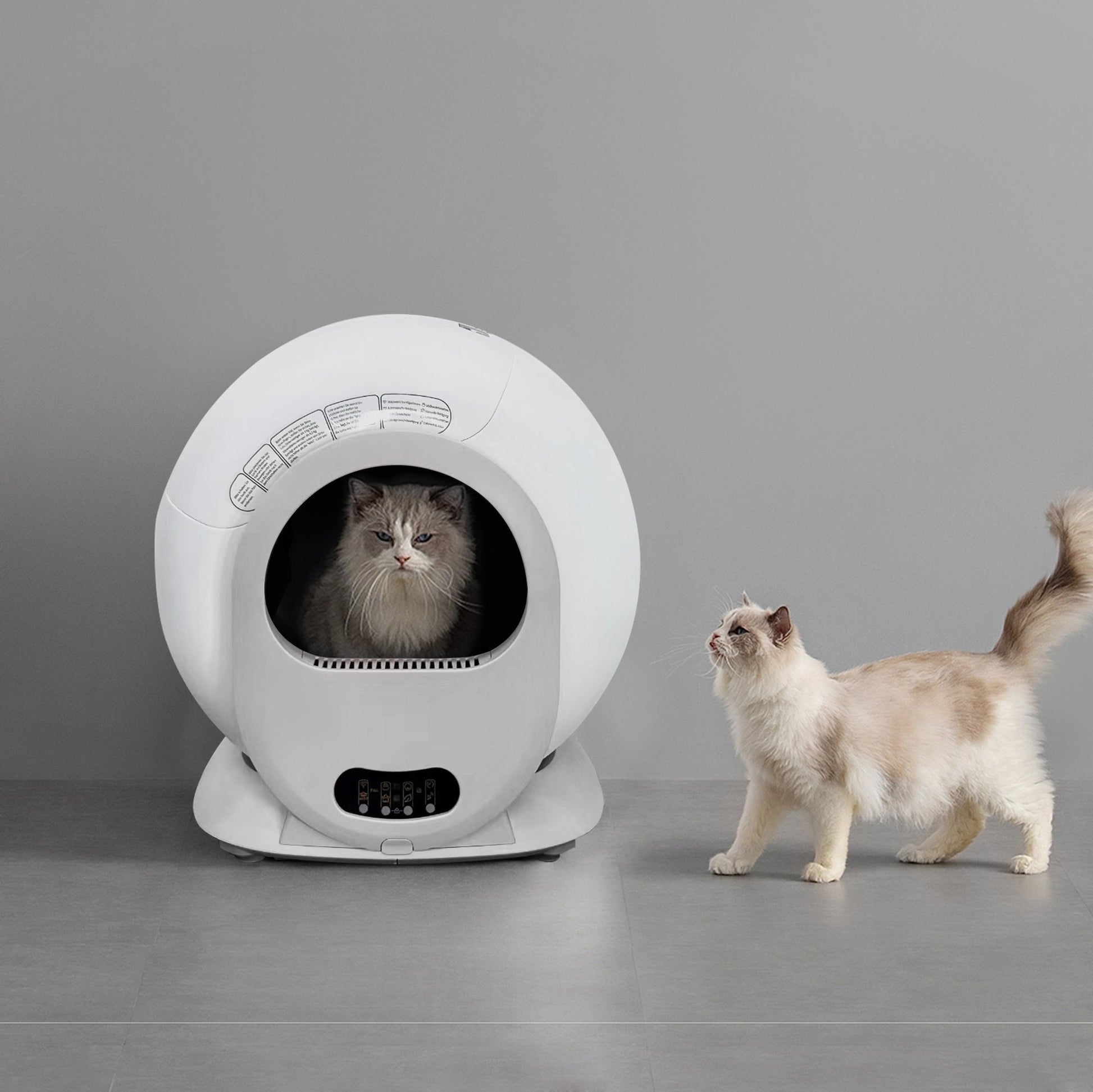 KittyBot™ AutoScoop - The Future of Litter Boxes Veteranshops.com
