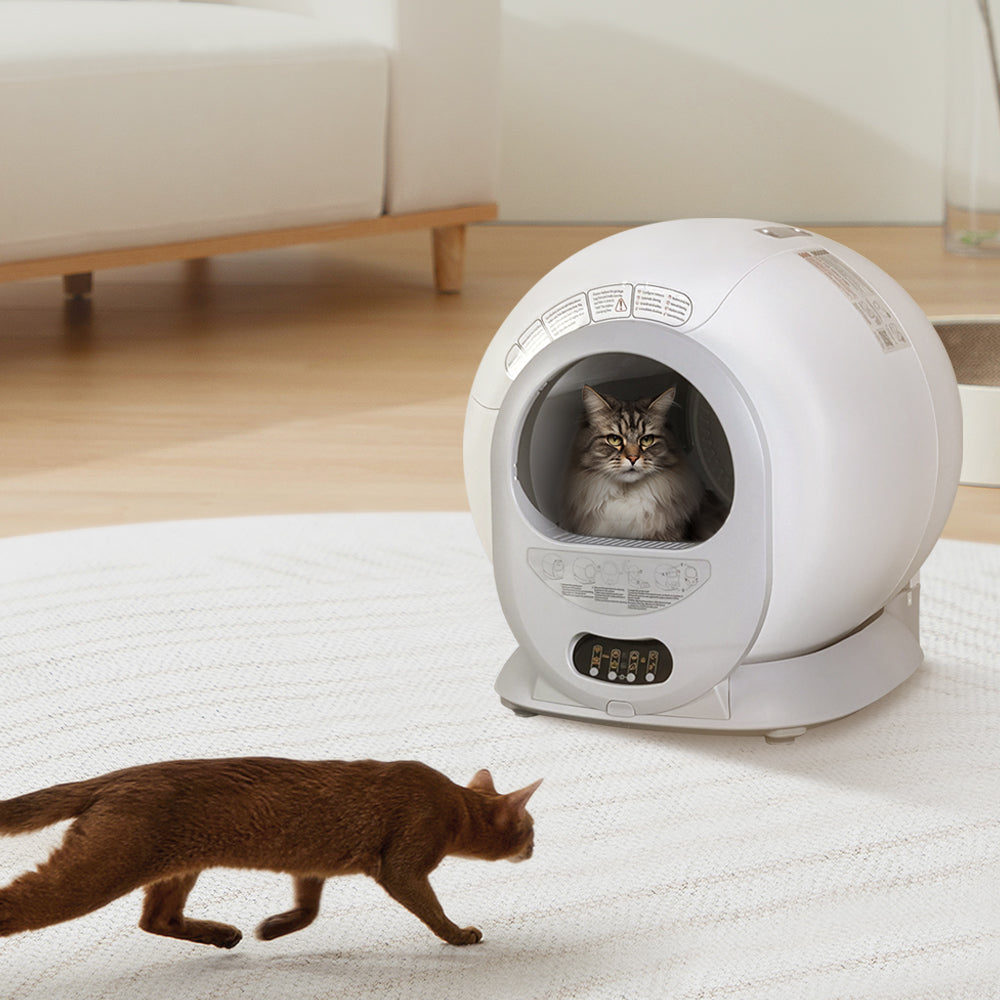 KittyBot™ AutoScoop - The Future of Litter Boxes Veteranshops.com