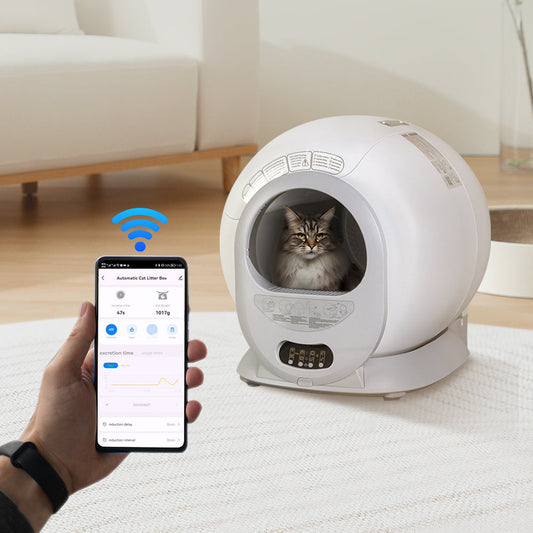 KittyBot™ AutoScoop - The Future of Litter Boxes Veteranshops.com