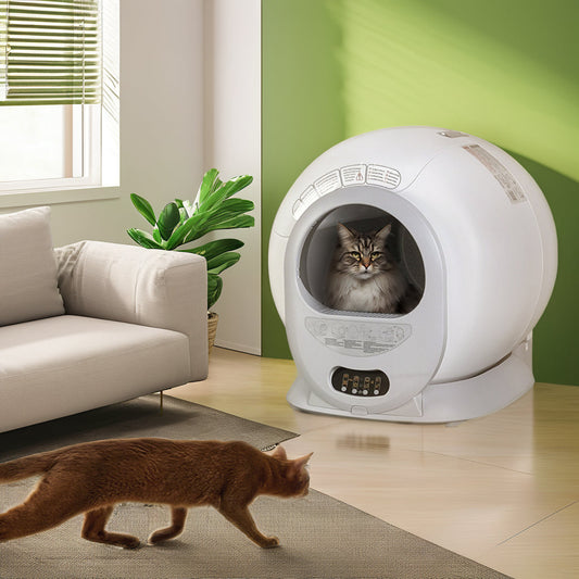 KittyBot™ AutoScoop - The Future of Litter Boxes Veteranshops.com