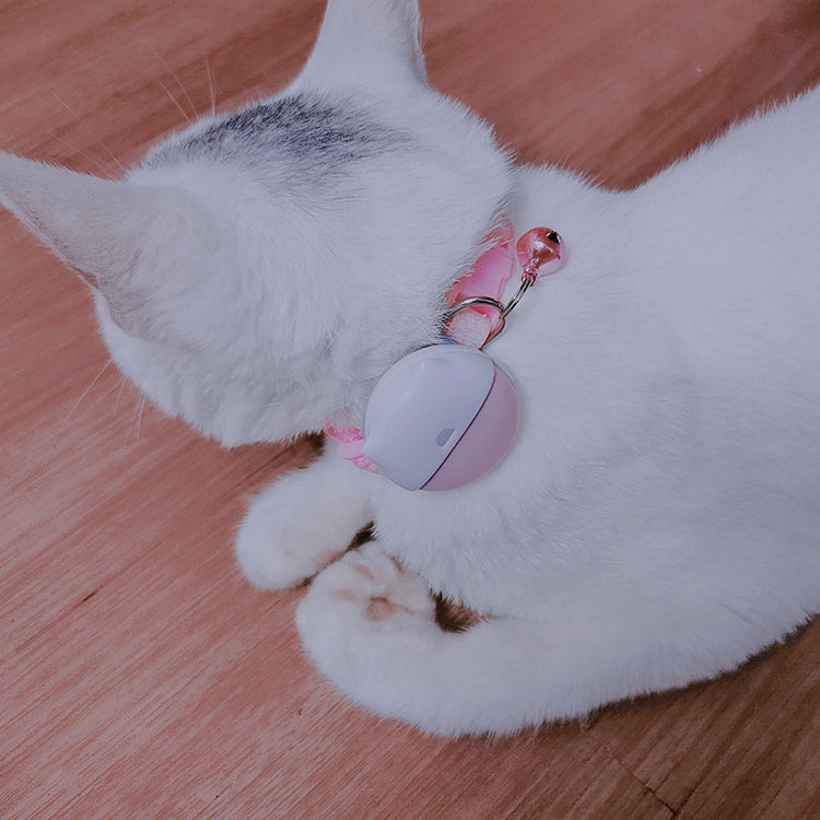 TrackiPaws™ Smart Pet GPS for Cats & Dogs — Real-Time, Reliable Veteranshops.com