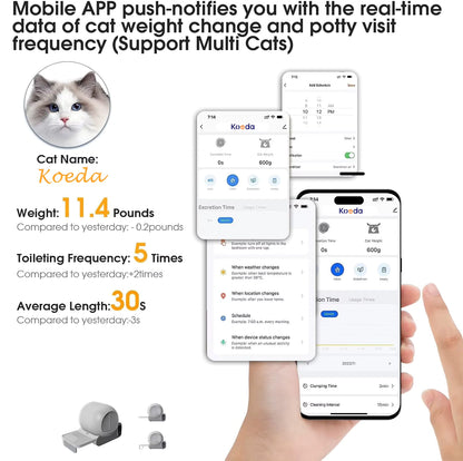 Mobile app interface for monitoring cat weight and potty visit frequency with a hand holding a phone.