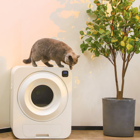 PurrMatic™ Hands-Free. Odor-Free. Stress-Free. Veteranshops.com