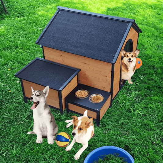 PlayPaws™ Pop-Up Pavilion I Fold. Play. Wow . Veteranshops.com