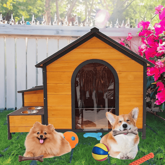 PlayPaws™ Pop-Up Pavilion I Fold. Play. Wow . Veteranshops.com