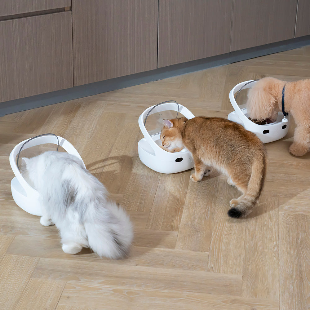 PurrfectFeed™ Smart. Precise. Purrfect. Veteranshops.com