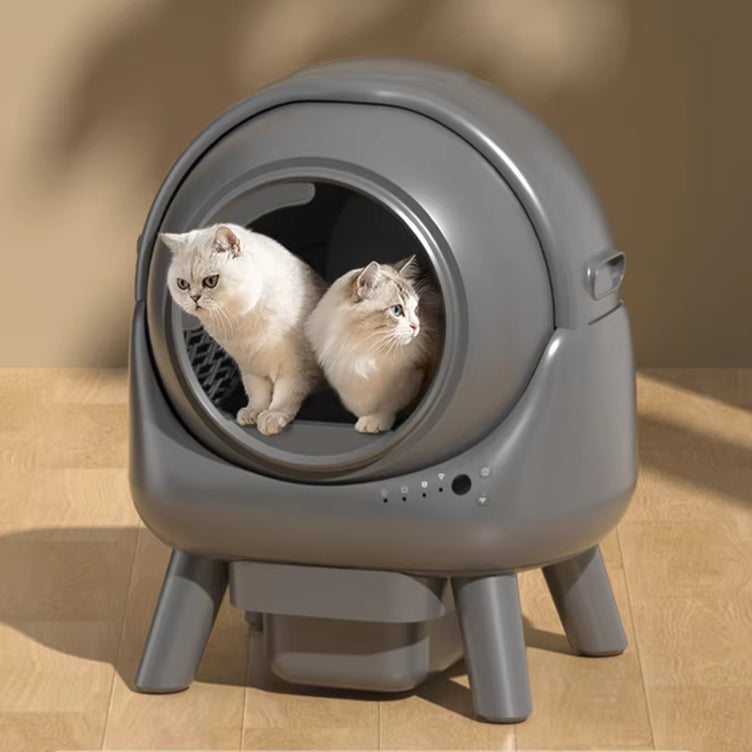Two cats inside a gray pet pod on a wooden floor.