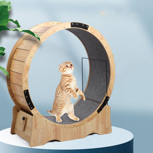 EcoPaws™ Wooden Cat Wheel Veteranshops.com
