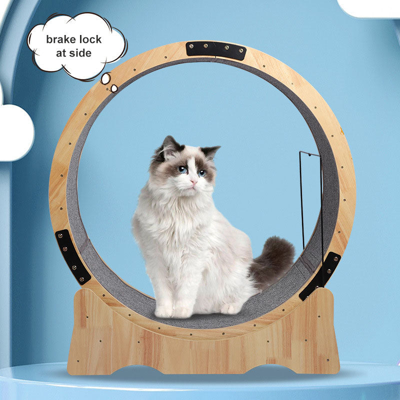 EcoPaws™ Wooden Cat Wheel Veteranshops.com