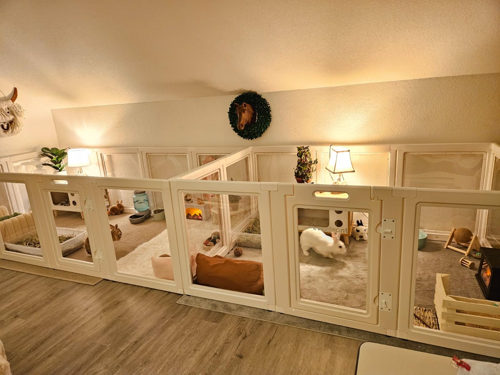 ClearVue Pets™ Slim Editiion Transparent Veteranshops.com