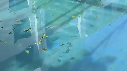 SolarSweep™ Robo Pool Cleaner