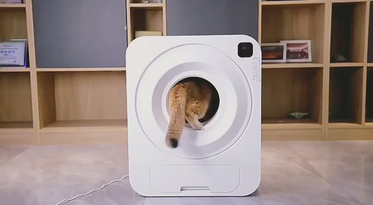PurrMatic™ Hands-Free. Odor-Free. Stress-Free.