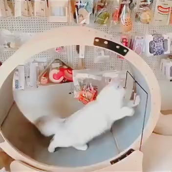 EcoPaws™ Wooden Cat Wheel
