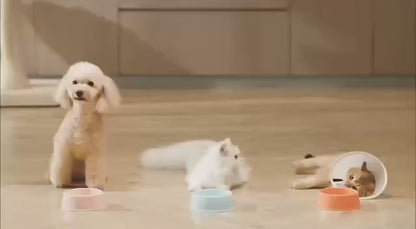 PurrfectFeed™ Smart. Precise. Purrfect.