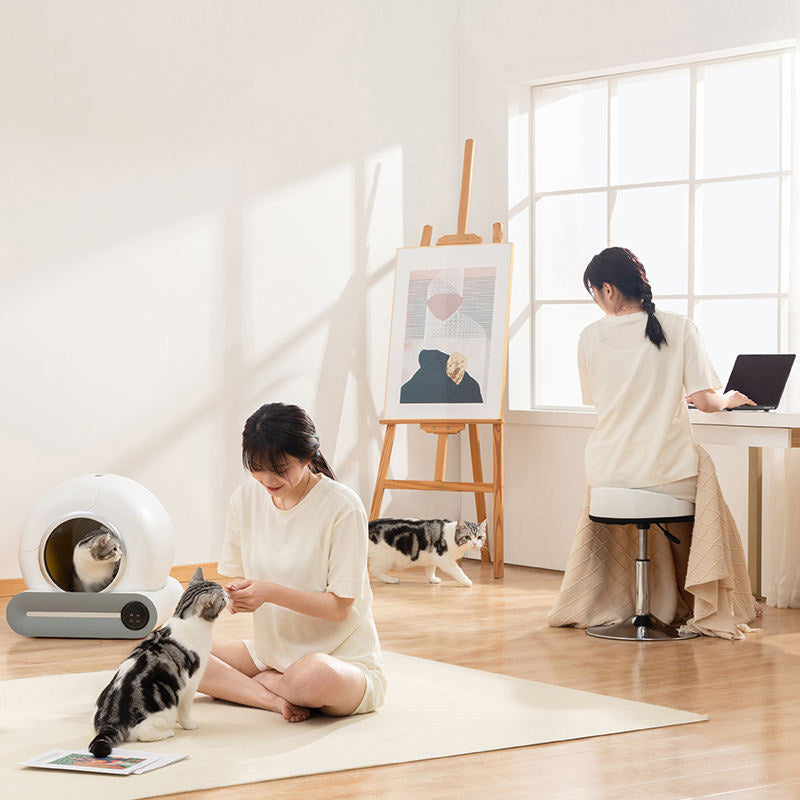 Purrify™ Smart Litter Box I Clean. Smart. Effortless. Veteranshops.com