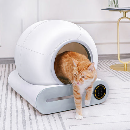 Purrify™ Smart Litter Box I Clean. Smart. Effortless. Veteranshops.com